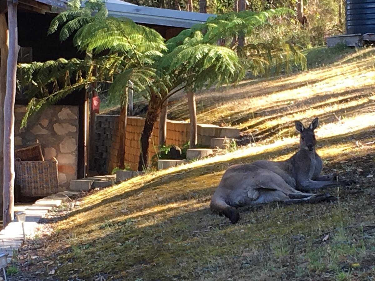 Kangaroo Valley Cottage เดนมาร์ก ภายนอก รูปภาพ